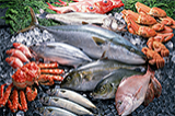 Introduction to popular science | aquatic products routine inspection project