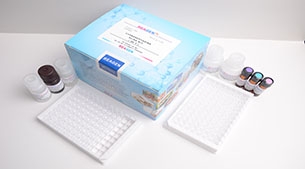 Salmonella kit