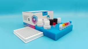馬布特羅 ELISA試劑盒